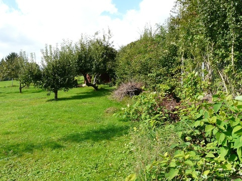 Baugrundstück (2)