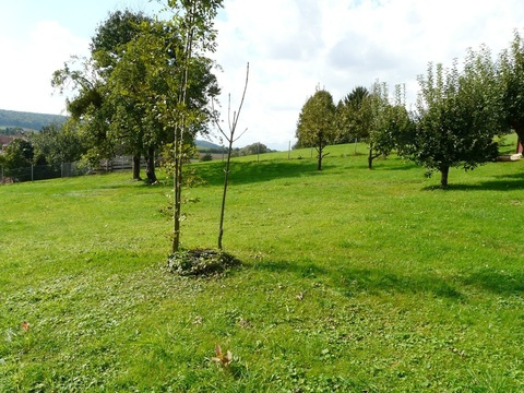 Baugrundstück