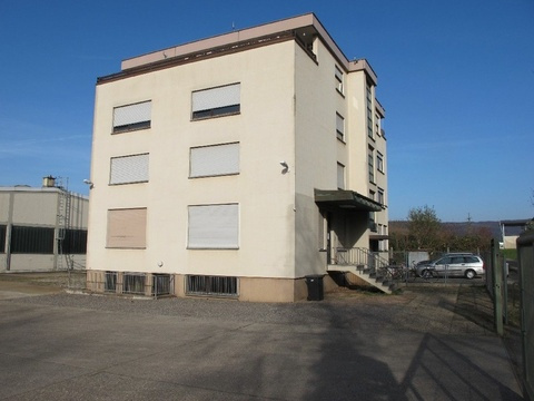 Büo