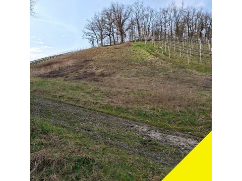 Land Forstwirschaft kaufen in Waigolshausen