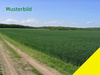 Land Forstwirschaft kaufen in Aurach