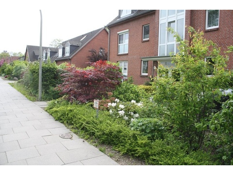 Umgebung-Straße
