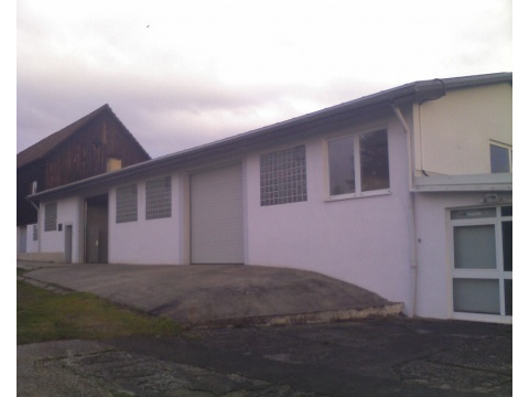Halle, Lager, Produktion mieten, pachten in Bexbach, 200 m² Lagerfläche