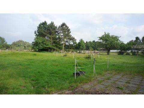 Weide- und Reitplätze