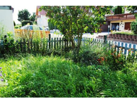 Teilansicht Garten (2)