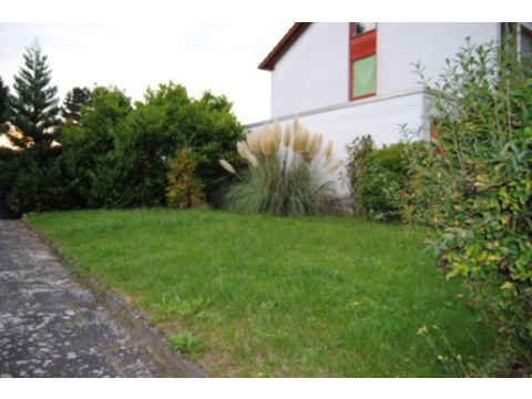 Garten 2