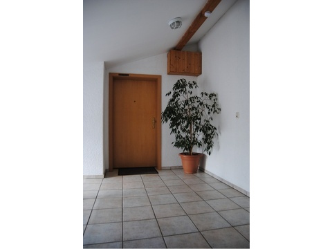 Sehr gepflegtes Treppenhaus