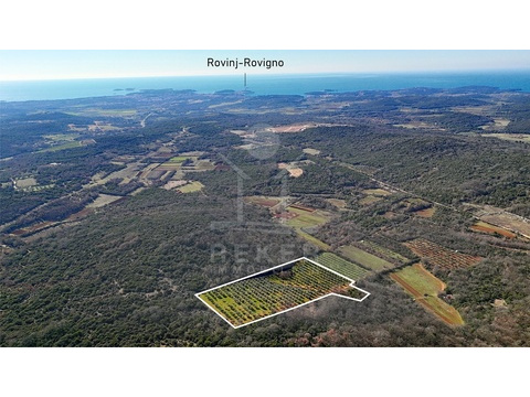 Sondernutzungsgrundstück kaufen in Rovinj, 18.995 m² Grundstück