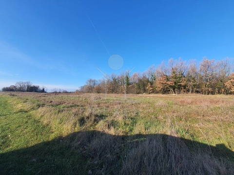 Wohngrundstück kaufen in Poreč, 2.896 m² Grundstück