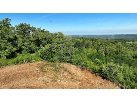 Wohngrundstück kaufen in Vižinada, 3.886 m² Grundstück