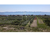 Wohngrundstück kaufen in Zadar, 2.891 m² Grundstück