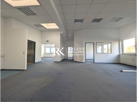 Bürofläche mieten, pachten in Buchholz in der Nordheide, 343 m² Bürofläche