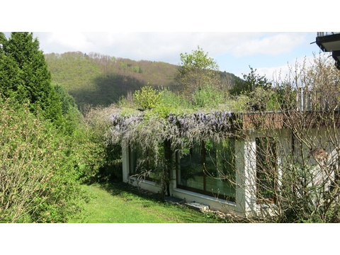 Der Garten
