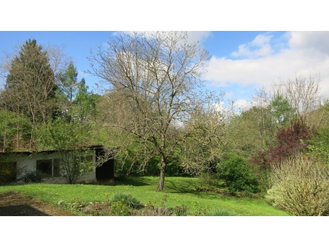 Der Garten