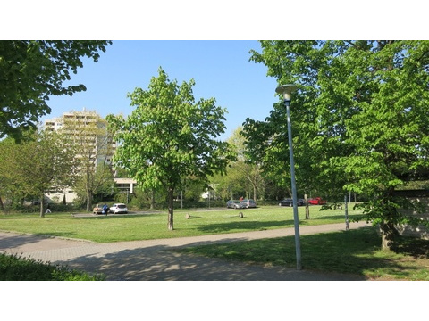 Die Aussicht von unten