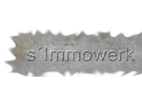 s`Immowerk in Ettenheim