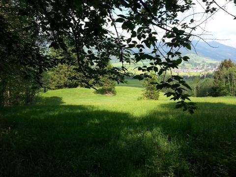 Bild...
