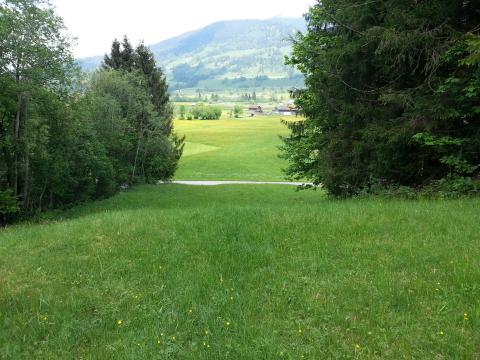 Bild...