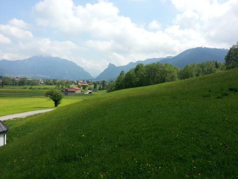 Bild...