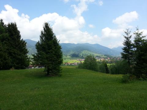 Bild...