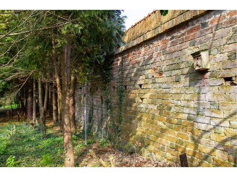 Abschnitt der historischen Klostermauer an der südöstlichen Grundstücksgrenze