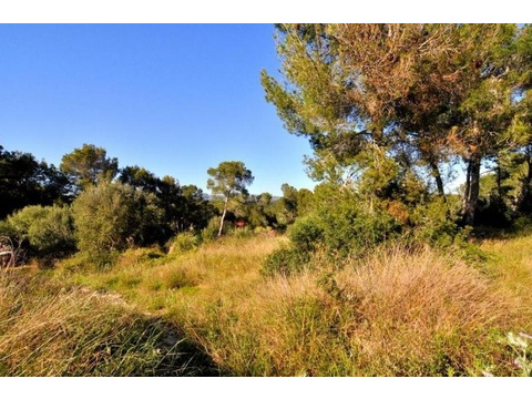 Grundstück kaufen in Calvià, 1.580 m² Grundstück