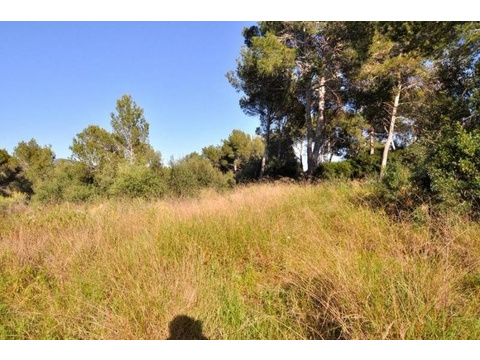 Grundstück kaufen in Calvià, 1.492 m² Grundstück