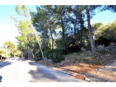 Grundstück kaufen in Calvià, 1.287 m² Grundstück