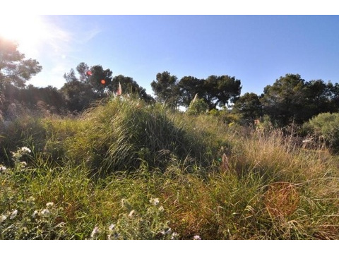 Grundstück kaufen in Calvià, 1.250 m² Grundstück