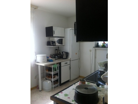Foto 4 (7)