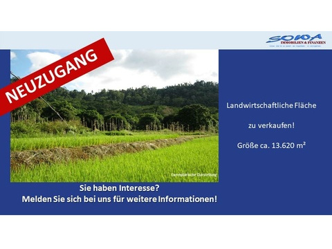 Land Forstwirschaft kaufen in Königsmoos, 13.620 m² Grundstück