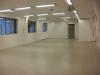Halle kaufen in Lahr/Schwarzwald, 340 m² Lagerfläche