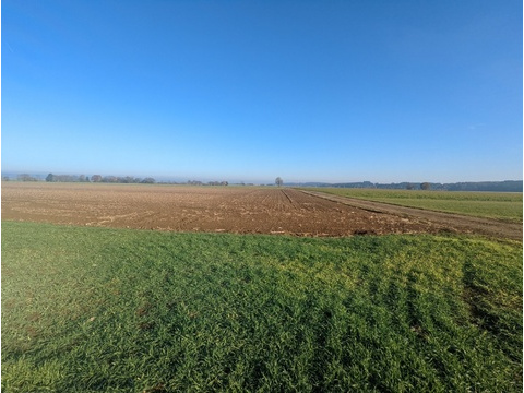 Land Forstwirschaft kaufen in Hawangen, 15.295 m² Grundstück