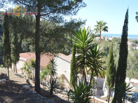 Sol4Life Immobilien Dénia
