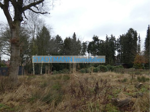Bild...