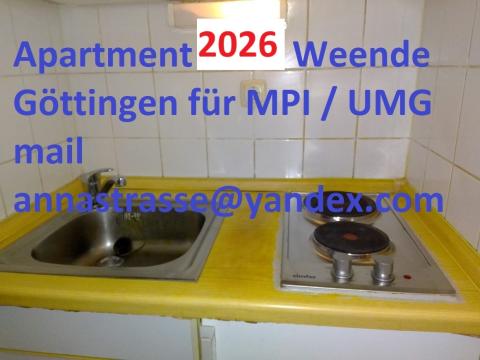 Bild...