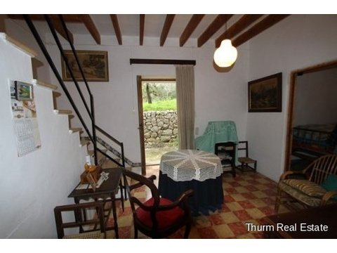 00012_50_0_Finca_in_Galilea_JuanCortell_057.JPG