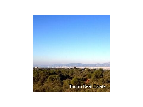 00012_9_0_descarga.jpg