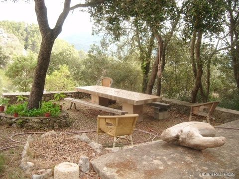 DSCF4387 - copia