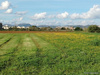 Wohngrundstück kaufen in Campos, 18.000 m² Grundstück