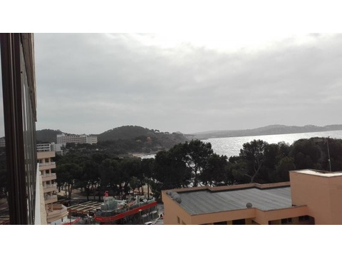 Etagenwohnung mieten in Calvià Peguera, 35 m² Wohnfläche, 2 Zimmer