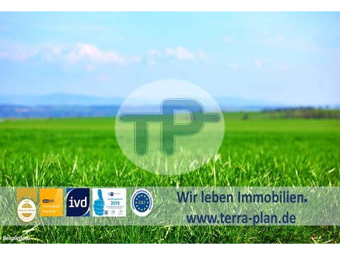Grundstück kaufen in Zachenberg, 2.542 m² Grundstück