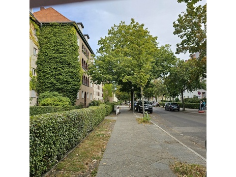 Die Umgebung