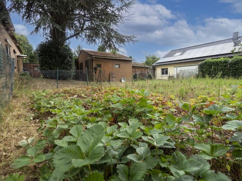 117 32 Blick vom Erdbeerfeld
