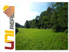 Wohngrundstück kaufen in Heiligenkreuz im Wienerwald, 916 m² Grundstück