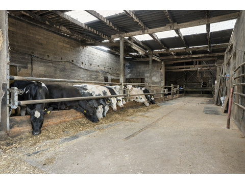 Bauernhaus kaufen in Heinsberg, 9.253 m² Grundstück, 208 m² Wohnfläche, 7 Zimmer