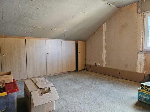 Zimmer1 DG