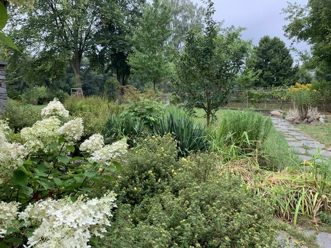 Garten nach Westen