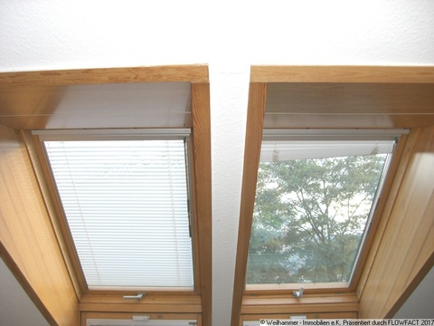 Dachfenster