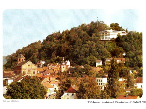 Blick zum Schlossberg